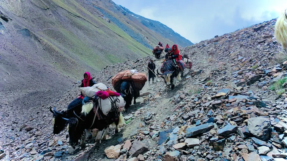 Wakhi p