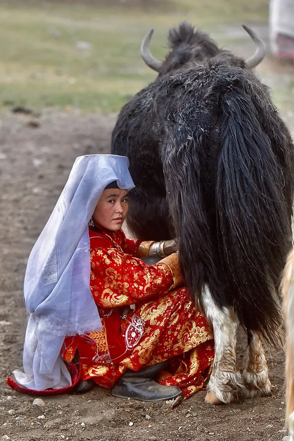 Wakhan Corridor • Little Pamir • High-Altitude Nomad Life