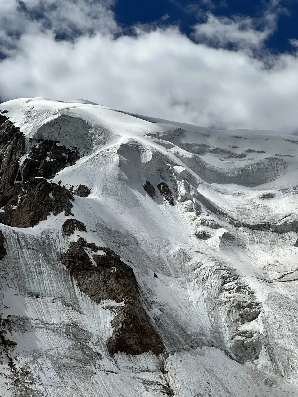 Mount