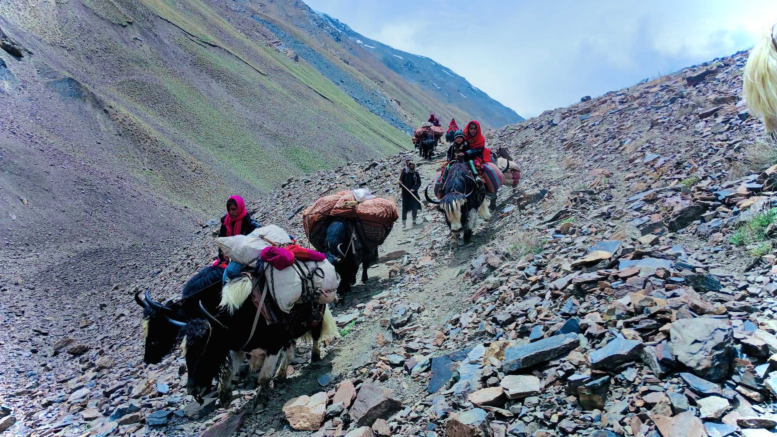 Wakhi p